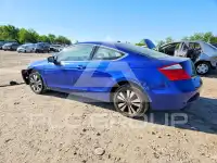 2008 Honda Accord photo