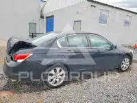 2008 Honda Accord фото