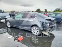 2008 Honda Accord photo