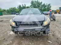 2008 Honda Accord фото