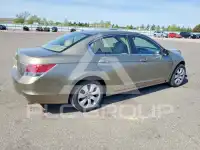 2008 Honda Accord фото