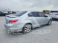 2008 Honda Accord photo