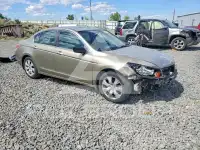 2008 Honda Accord фото