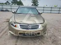 2008 Honda Accord фото