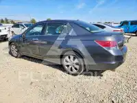 2008 Honda Accord фото