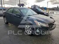 2008 Honda Accord photo