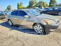 2008 Honda Accord фото