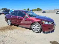2008 Honda Accord фото