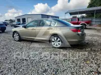 2008 Honda Accord photo