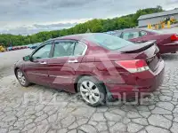 2008 Honda Accord фото