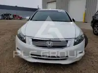 2008 Honda Accord фото