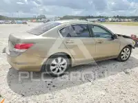 2008 Honda Accord photo