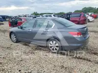 2008 Honda Accord фото