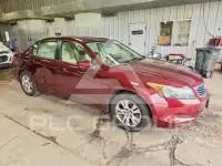 2008 Honda Accord photo