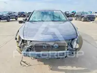 2008 Honda Accord photo