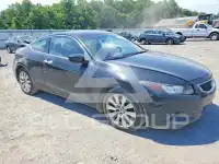 2008 Honda Accord фото