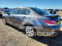 2008 Honda Accord фото