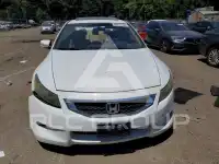 2008 Honda Accord photo