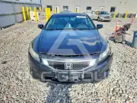2008 Honda Accord photo