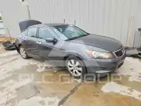 2008 Honda Accord фото