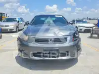 2008 Honda Accord photo