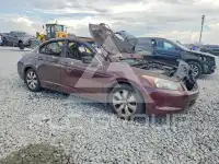 2008 Honda Accord photo
