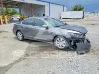 2008 Honda Accord photo