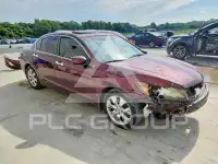 2008 Honda Accord photo