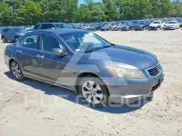 2008 Honda Accord photo