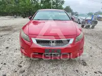 2008 Honda Accord фото