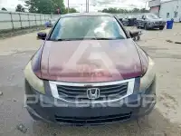 2008 Honda Accord photo