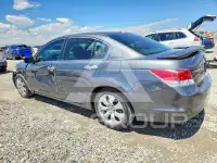 2008 Honda Accord фото