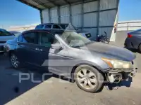 2008 Honda Accord фото