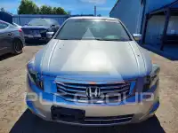 2008 Honda Accord photo
