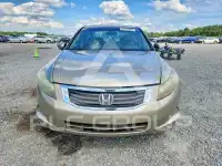 2008 Honda Accord фото
