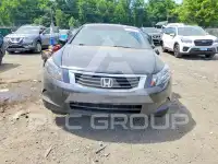 2008 Honda Accord photo