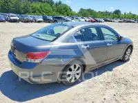 2008 Honda Accord photo