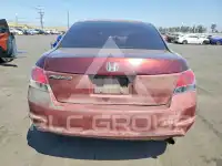 2008 Honda Accord photo