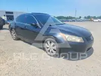 2008 Honda Accord фото