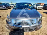 2008 Honda Accord фото