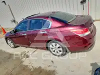 2008 Honda Accord photo