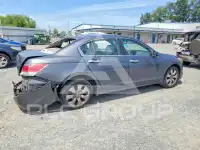2008 Honda Accord фото