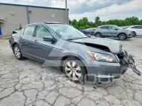 2008 Honda Accord фото