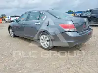 2008 Honda Accord фото