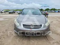 2008 Honda Accord фото