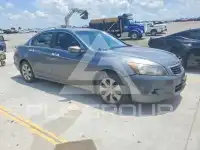 2008 Honda Accord photo