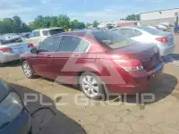 2008 Honda Accord фото