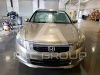 2008 Honda Accord фото