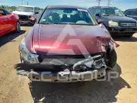 2008 Honda Accord фото