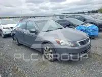 2008 Honda Accord фото